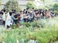 2008地被及水生植物應(yīng)用發(fā)展研討會(huì)熱點(diǎn)頻現(xiàn)