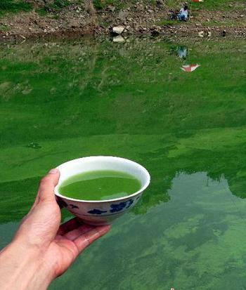三峽庫區(qū)支流因磷礦排污暴發(fā)水華