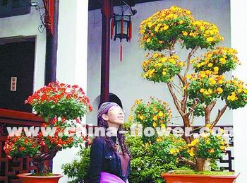 K݈@־ջu(png)չ_(ki)Ļ