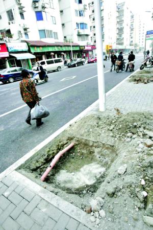 通湖路部分樹坑只有三十厘米，里面還有其他管線
