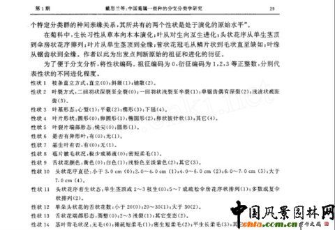 中國菊屬一些種的分支分類學研究