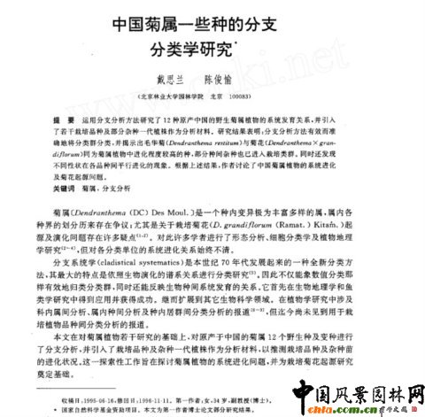 中國菊屬一些種的分支分類學研究