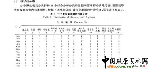 中國菊屬一些種的分支分類學研究