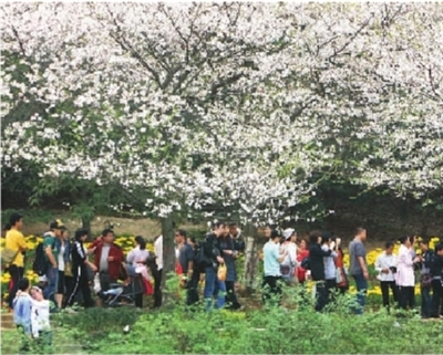省植物園門(mén)票為什么一漲再漲