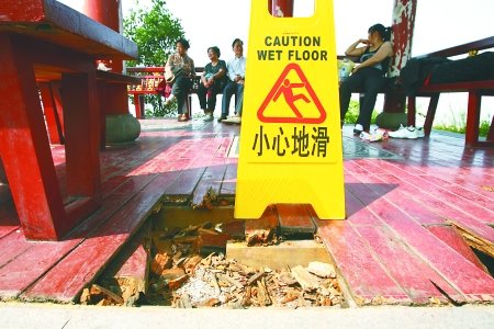 免費公園現“黃金周后遺癥” 八成要補栽植物