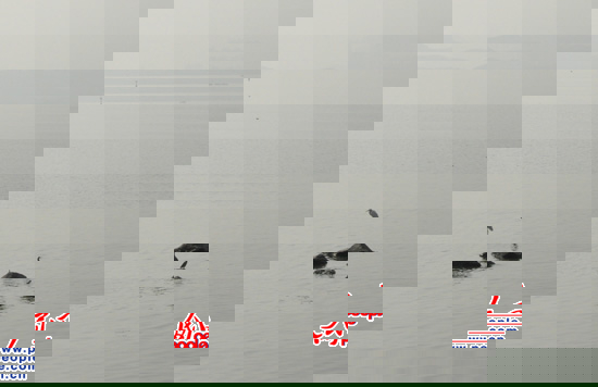 ͣˮB(du)