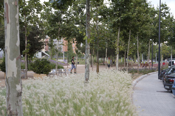 西班牙雷烏斯甘地公園實景展示 公園綠地 世界園林 中國風(fēng)景園林網(wǎng)