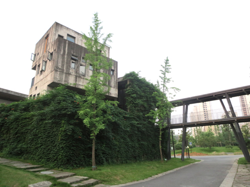 中國美術(shù)學(xué)院 王澍 綠色 建筑 設(shè)計(jì) 屋頂 綠化 中國風(fēng)景園林網(wǎng)
