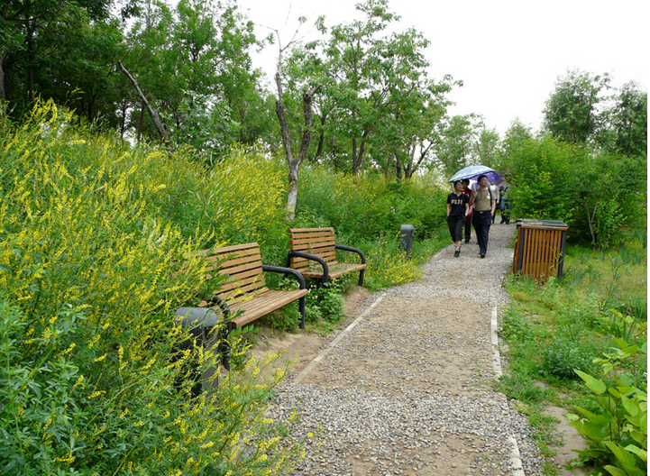連載 劉秀晨 綠色的云 點評奧林匹克森林公園 中國風(fēng)景園林網(wǎng)