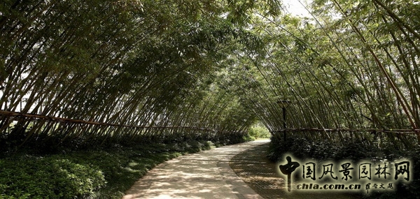 風景園林師論壇 居住區(qū)景觀 張文英 中國風景園林網(wǎng)