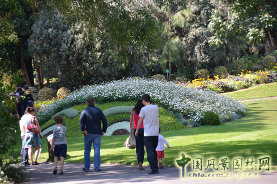 法國(guó) 南特 植物園 五色草