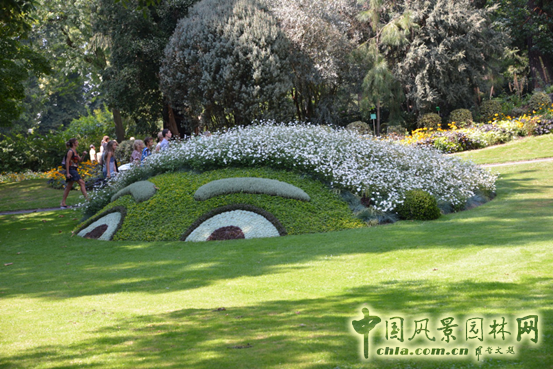 法國(guó) 南特 植物園 五色草