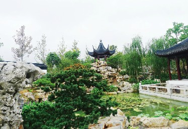 青島世園會(huì) 山地園林 青島世園 園林藝術(shù)