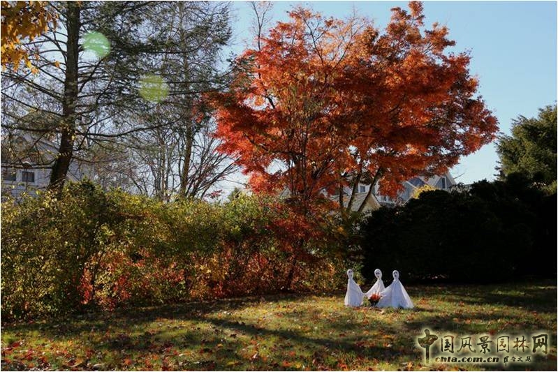 美國(guó)鄉(xiāng)村公園