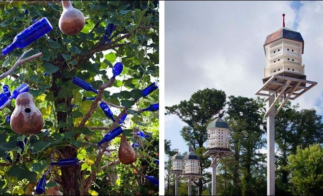 香格里拉植物園 景觀設(shè)計(jì) 植物園 可持續(xù)設(shè)計(jì)
