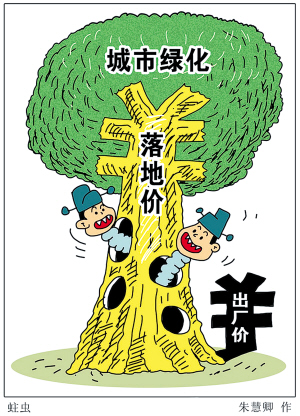 超級銀杏 綠化設計 規(guī)劃設計 城市綠化