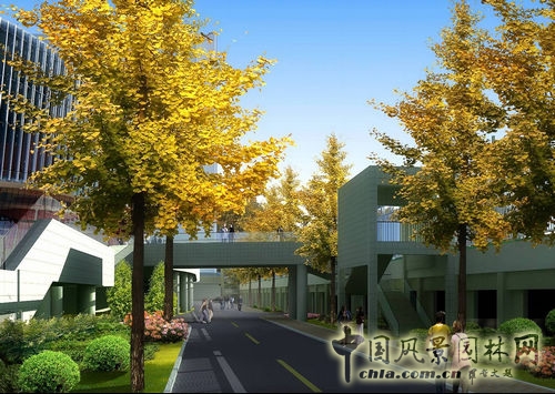 山東大學 景觀設(shè)計 環(huán)境設(shè)計 景觀方案