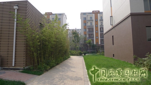 天鴻萬象 景觀設(shè)計(jì) 居住區(qū)設(shè)計(jì) 規(guī)劃設(shè)計(jì)