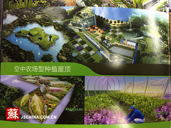 城市“空中農(nóng)場(chǎng)”亮相