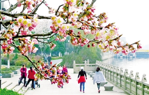 住建部:生態(tài)園林城市是園林城市升級(jí)版
