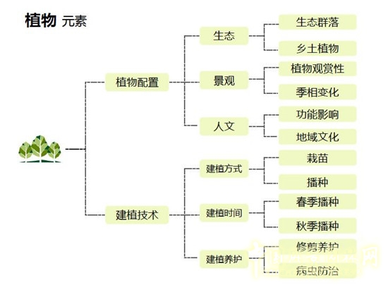 郭建梅：節(jié)水園林——蒙草遇上節(jié)水的時代