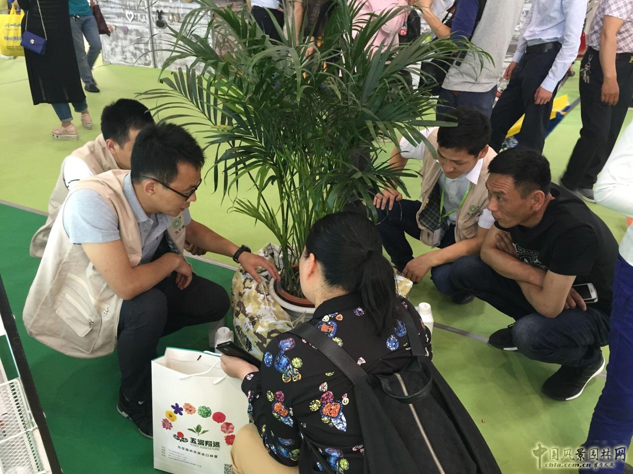 諾普信參加第18屆中國(guó)國(guó)際花卉園藝展覽會(huì)完美收官