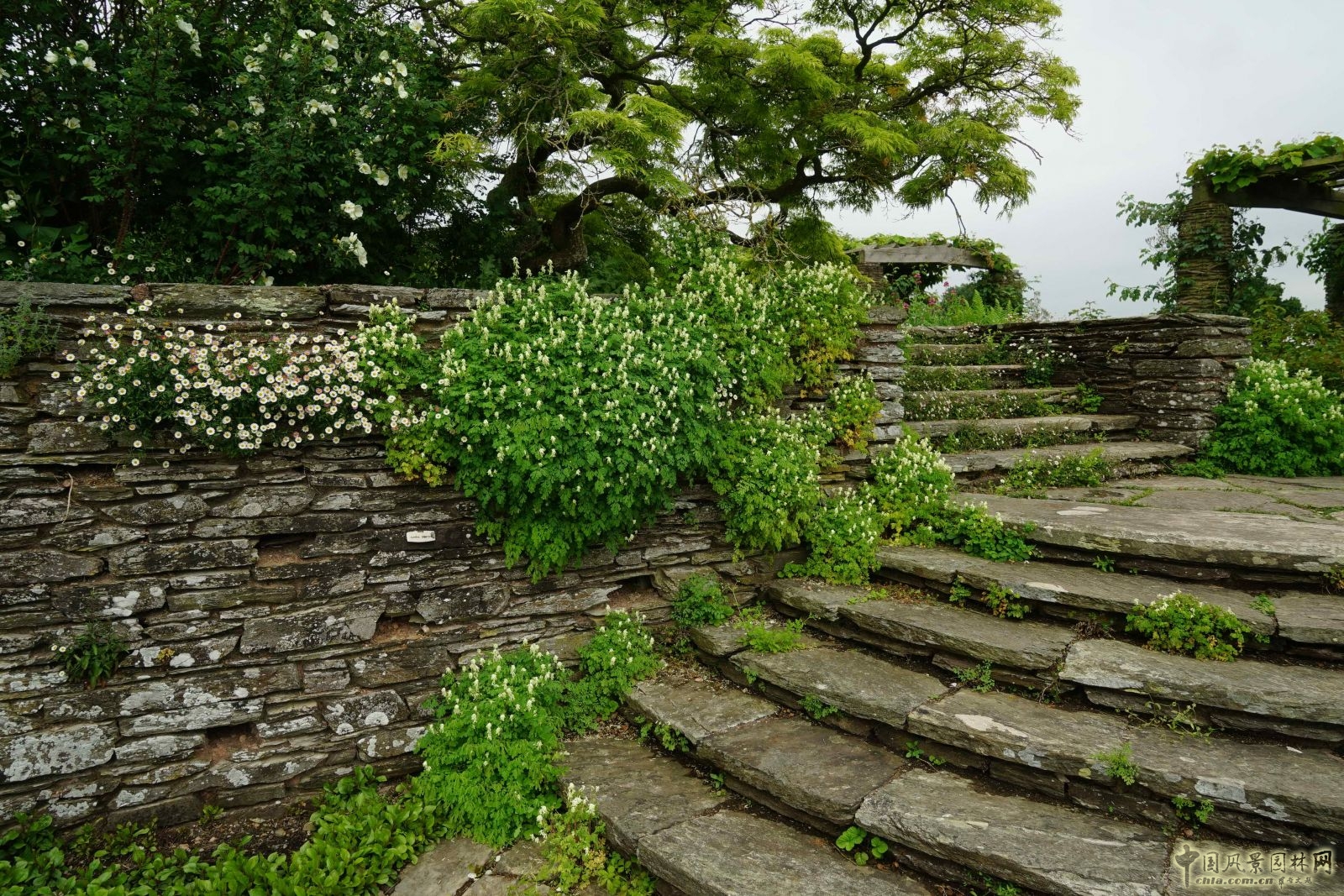 俯拾皆是“杰基爾Style”——英國(guó)赫斯特庫(kù)姆花園