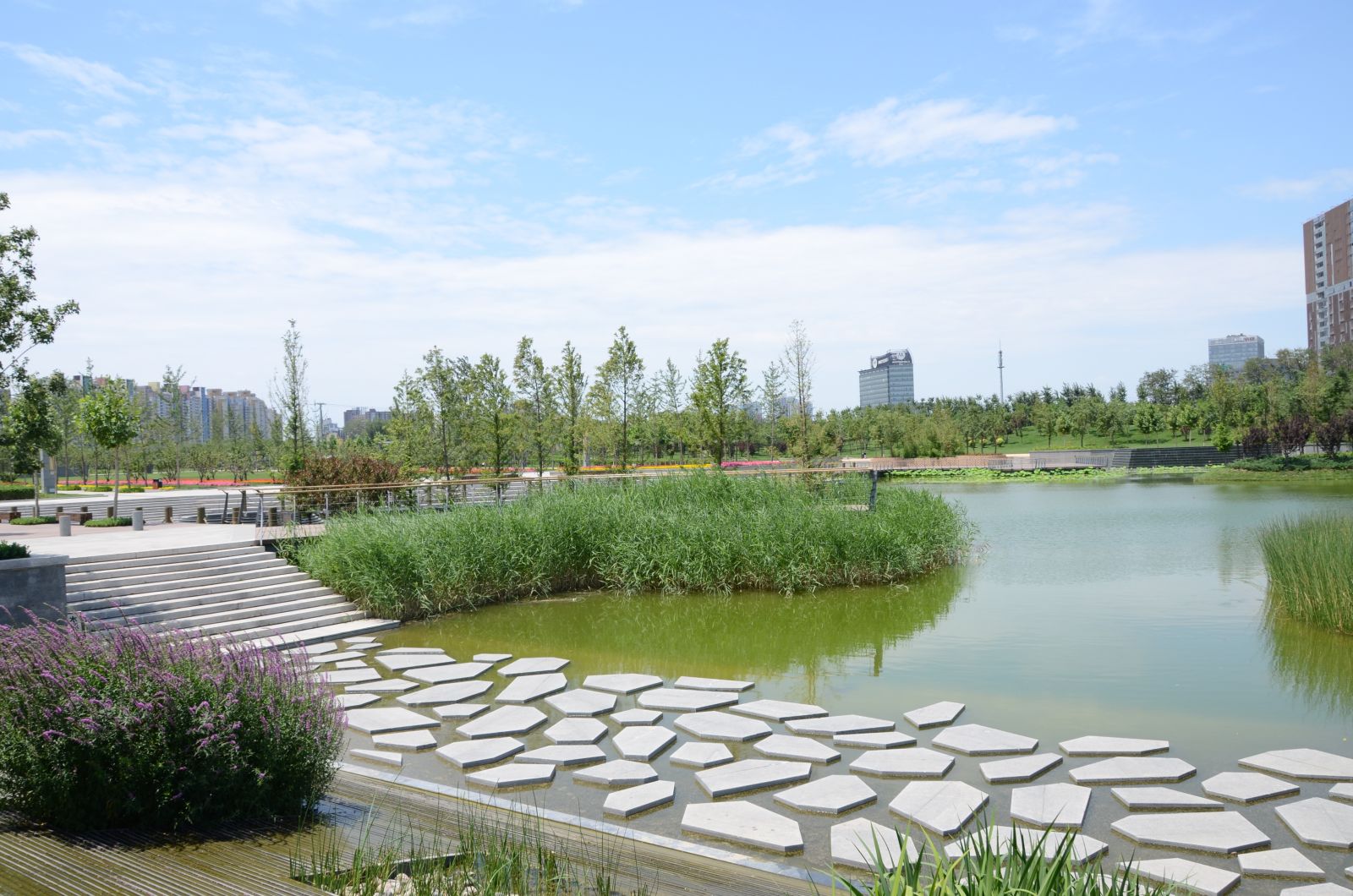 北京大望京公園規(guī)劃設(shè)計賞析