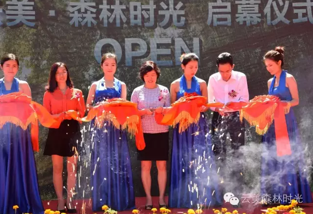 云投生態(tài)投資建設(shè)的重慶"云美?森林時光"旅游地產(chǎn)項目啟動預(yù)售