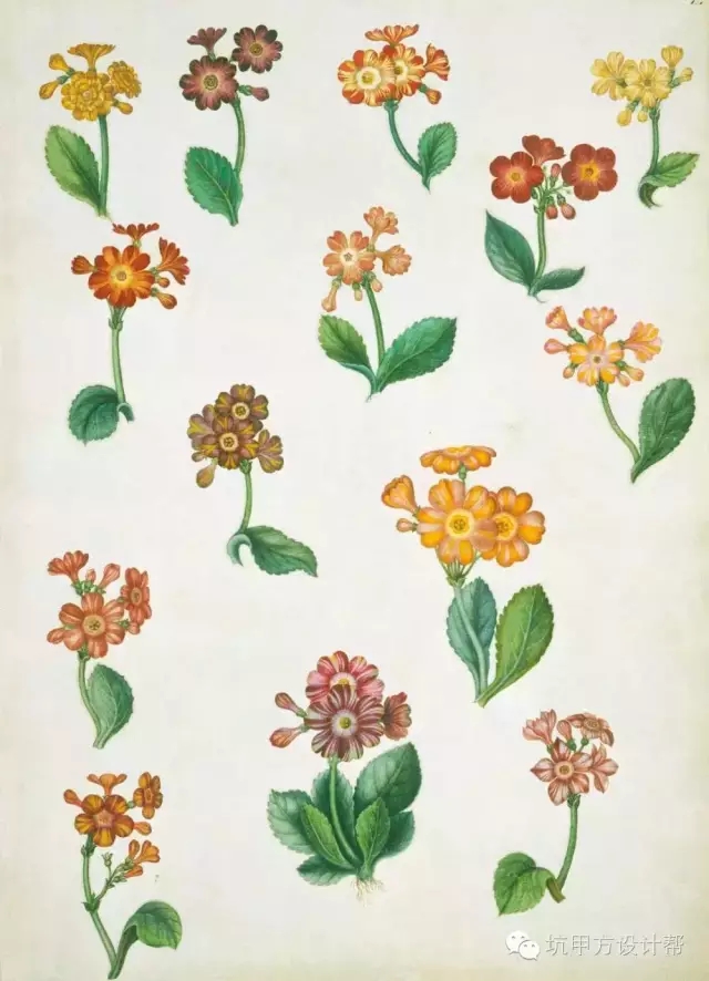 離不開(kāi)花園的英國(guó)人