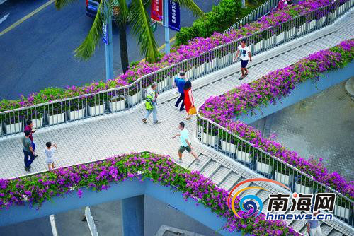 ?？凇白蠲捞鞓颉遍_滿三角梅花