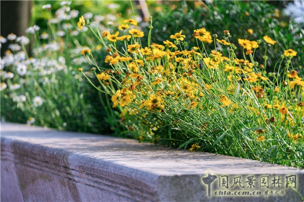 藍調(diào)國際：重慶金海灣濱江園  山水之城的濱水密境