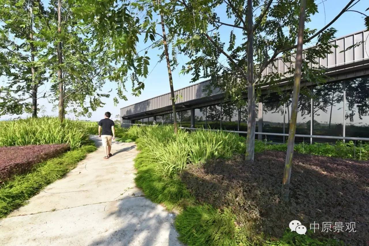 馬來(lái)西亞加里斯建筑師的弧形景觀設(shè)計(jì)