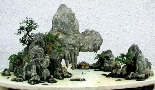 盆景七大類，你都知道嗎？