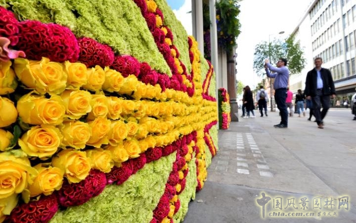 英國2016切爾西花展掀起的花藝設(shè)計(jì)熱潮
