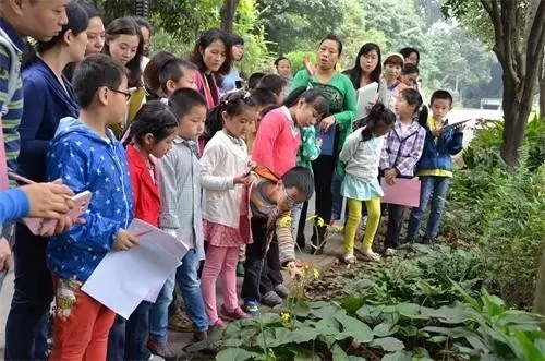 如何讓植物成為兒童活動場地的主角？
