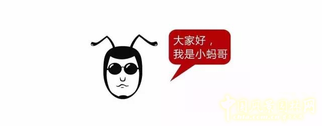 一口氣讀懂中國(guó)園林