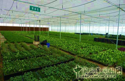 廈門崇圣生態(tài)：生態(tài)綠墻在項目中的應用