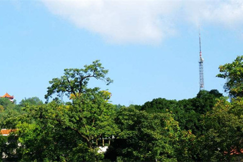 棕櫚園林：湖南吉首市城建項(xiàng)目試水PPP模式