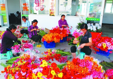 一個偏遠貧困小縣如何發展為鮮切花之鄉？
