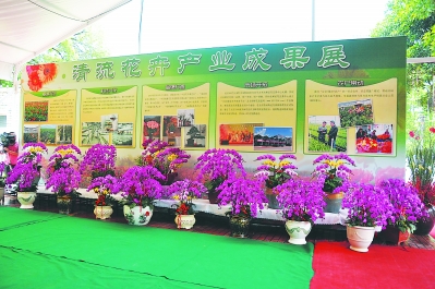 一個偏遠貧困小縣如何發展為鮮切花之鄉？