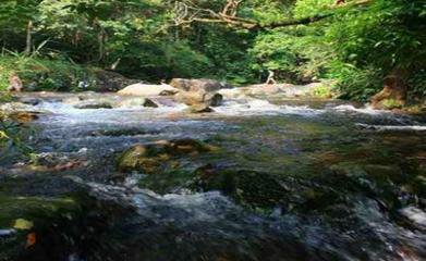 有“小西雙版納”之稱的大平山自然保護(hù)區(qū)
