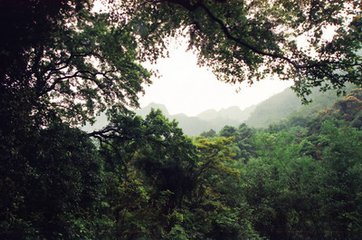 有“小西雙版納”之稱的大平山自然保護(hù)區(qū)