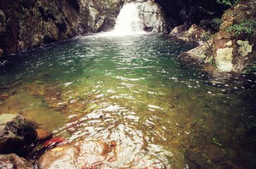 有“小西雙版納”之稱的大平山自然保護(hù)區(qū)