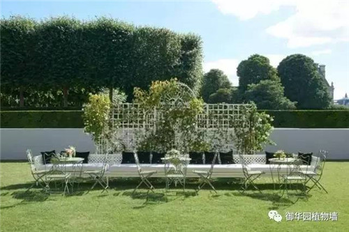 Dior70周年展，植物墻又出風(fēng)頭了！