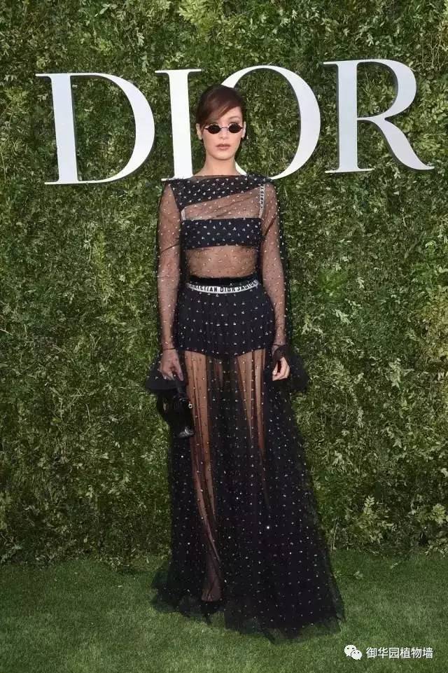 Dior70周年展，植物墻又出風(fēng)頭了！