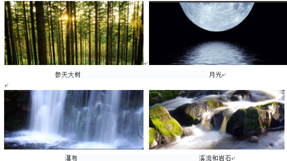 森林的再現(xiàn)-馬來西亞Azelia住宅區(qū)景觀