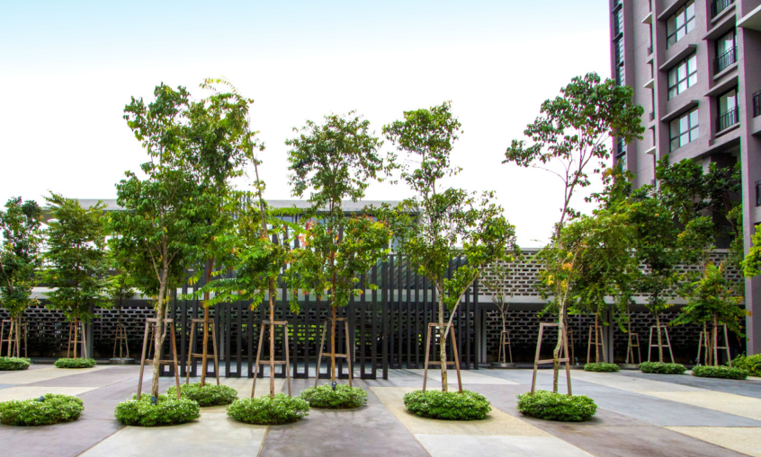 森林的再現(xiàn)-馬來西亞Azelia住宅區(qū)景觀