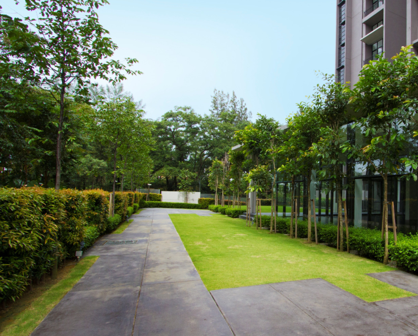 森林的再現(xiàn)-馬來西亞Azelia住宅區(qū)景觀
