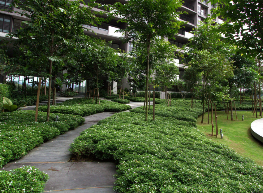 森林的再現(xiàn)-馬來西亞Azelia住宅區(qū)景觀